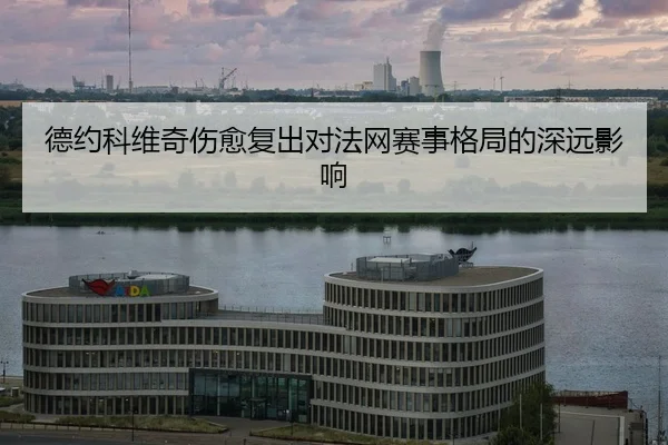 de-yue-ke-wei-qi-shang-yu-fu-chu-dui-fa-wang-sai-shi-ge-ju-de-shen-yuan-ying-xiang-2-687.jpg